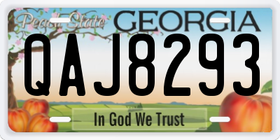 GA license plate QAJ8293