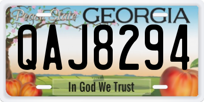 GA license plate QAJ8294