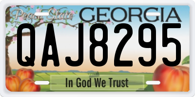 GA license plate QAJ8295