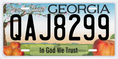 GA license plate QAJ8299