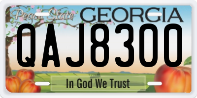 GA license plate QAJ8300