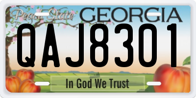 GA license plate QAJ8301