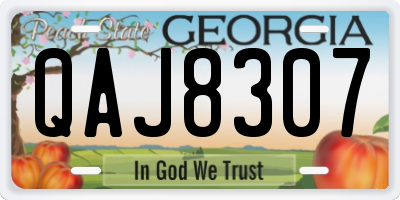 GA license plate QAJ8307