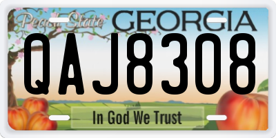 GA license plate QAJ8308
