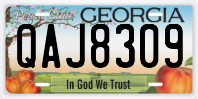GA license plate QAJ8309