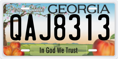 GA license plate QAJ8313