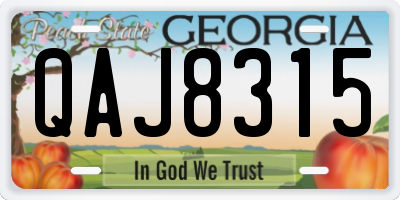 GA license plate QAJ8315
