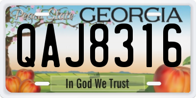 GA license plate QAJ8316