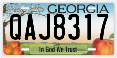 GA license plate QAJ8317