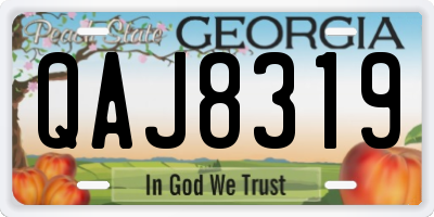 GA license plate QAJ8319