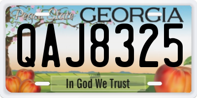 GA license plate QAJ8325