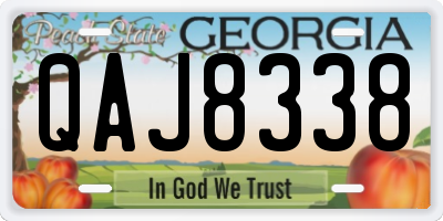 GA license plate QAJ8338
