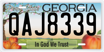 GA license plate QAJ8339