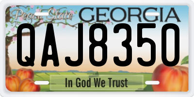 GA license plate QAJ8350