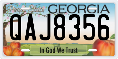 GA license plate QAJ8356