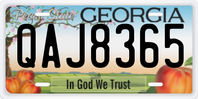 GA license plate QAJ8365