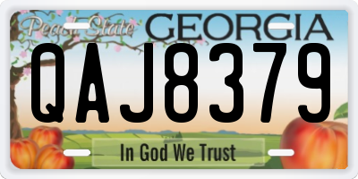 GA license plate QAJ8379