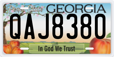 GA license plate QAJ8380