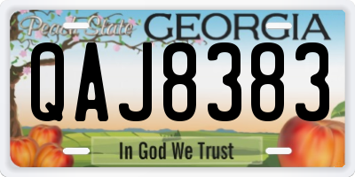 GA license plate QAJ8383