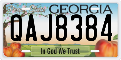 GA license plate QAJ8384