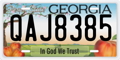 GA license plate QAJ8385