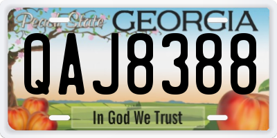 GA license plate QAJ8388