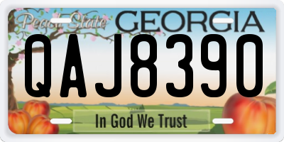 GA license plate QAJ8390