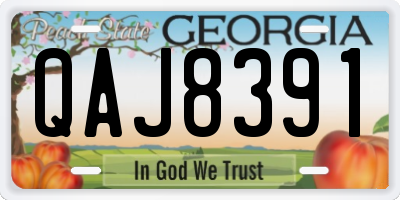 GA license plate QAJ8391