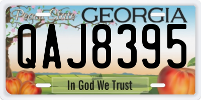 GA license plate QAJ8395