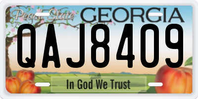 GA license plate QAJ8409