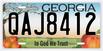GA license plate QAJ8412