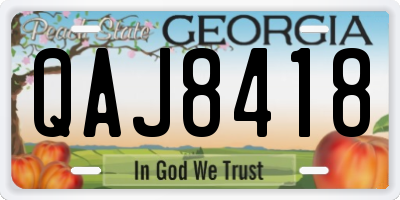 GA license plate QAJ8418