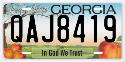 GA license plate QAJ8419