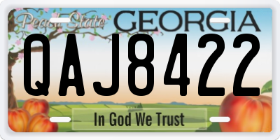 GA license plate QAJ8422