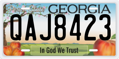 GA license plate QAJ8423