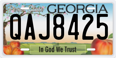 GA license plate QAJ8425