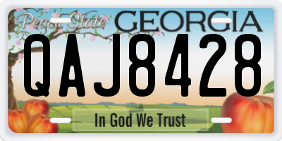 GA license plate QAJ8428