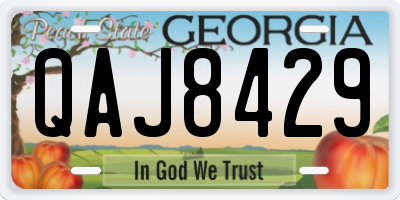 GA license plate QAJ8429