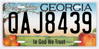 GA license plate QAJ8439