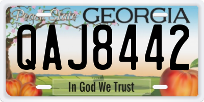 GA license plate QAJ8442