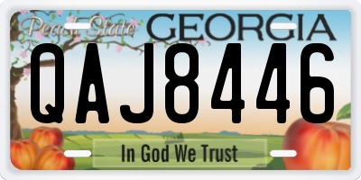 GA license plate QAJ8446