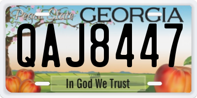 GA license plate QAJ8447