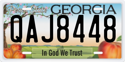 GA license plate QAJ8448
