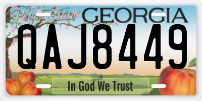 GA license plate QAJ8449