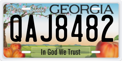 GA license plate QAJ8482
