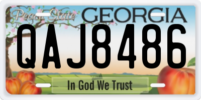 GA license plate QAJ8486