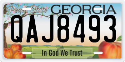 GA license plate QAJ8493