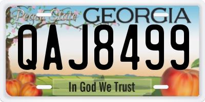 GA license plate QAJ8499
