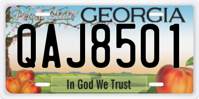 GA license plate QAJ8501