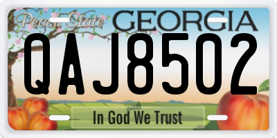 GA license plate QAJ8502